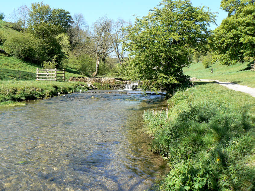 Bradford Dale Bradford Dale
